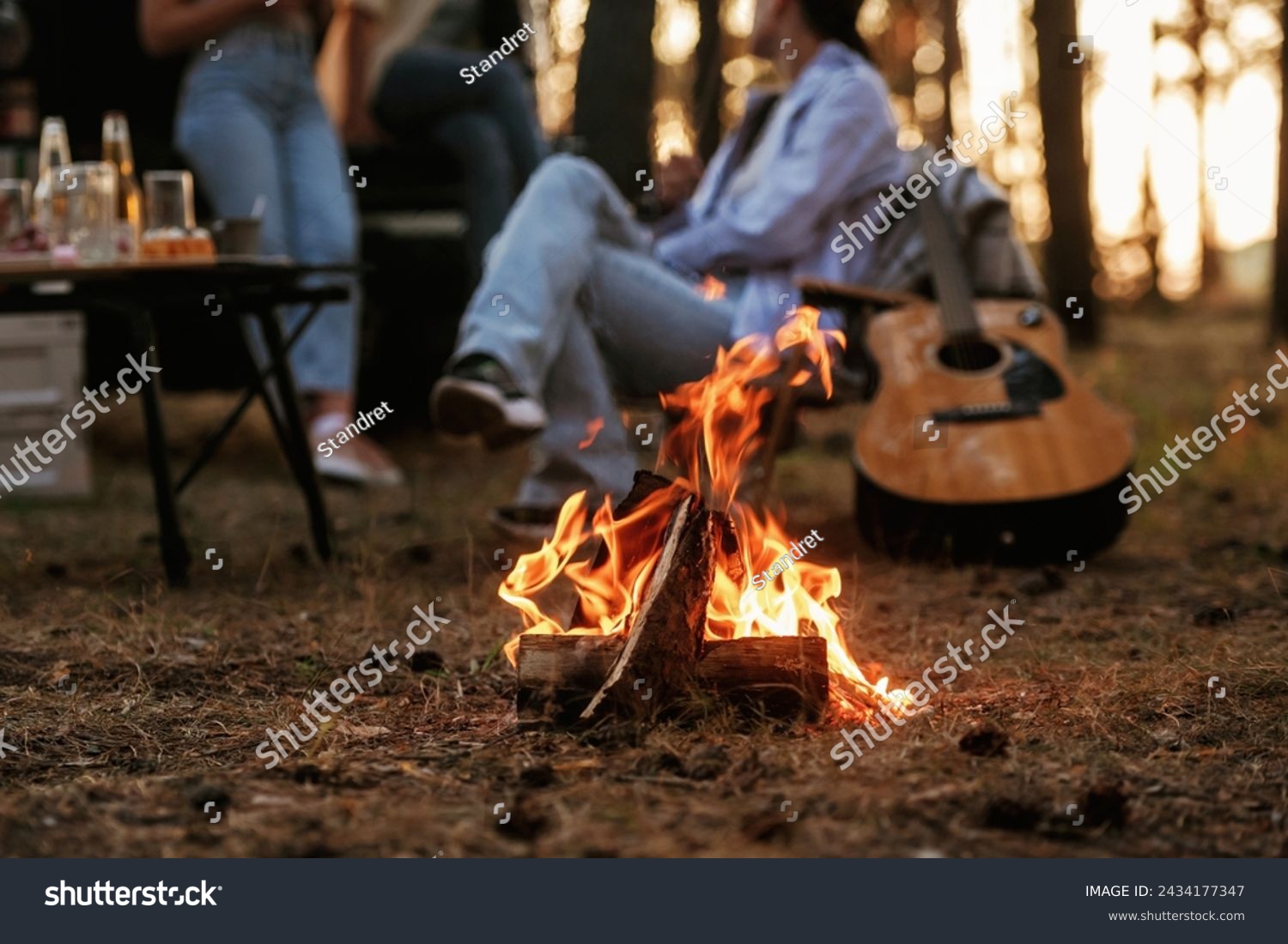 By the campfire. Group of friends are having fun together in the forest. #2434177347