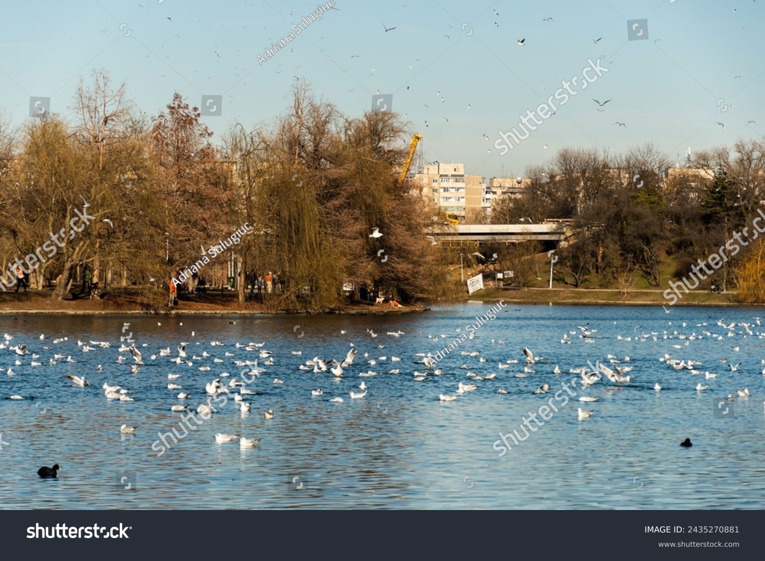 Tineretului park from Bucharest, Romania. #2435270881