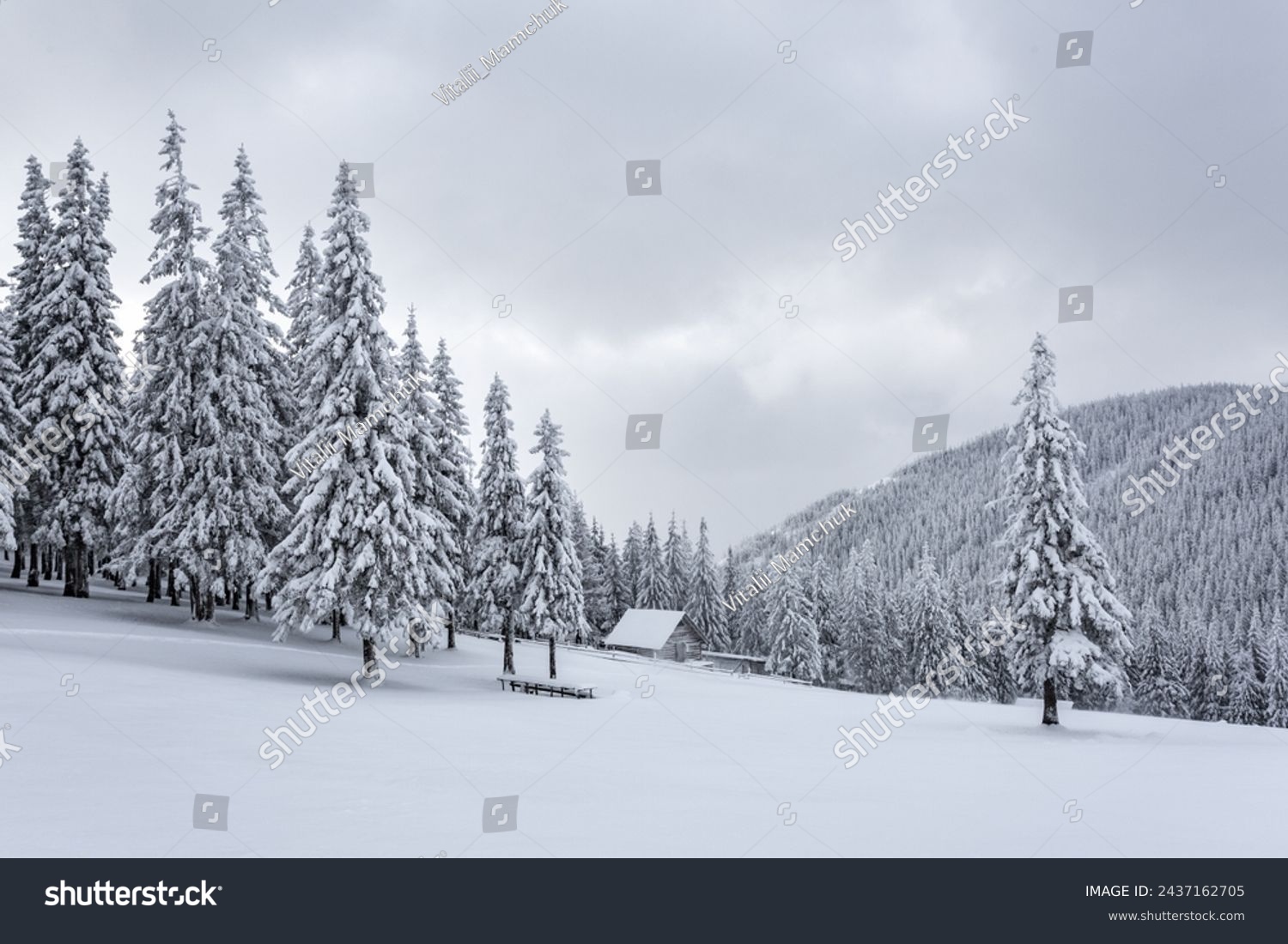 Old wooden forester's house on the lawn covered with snow. Landscape on winter day. Snowdrifts. Christmas wonderland. High mountain. Snowy wallpaper background. Nature scenery. #2437162705