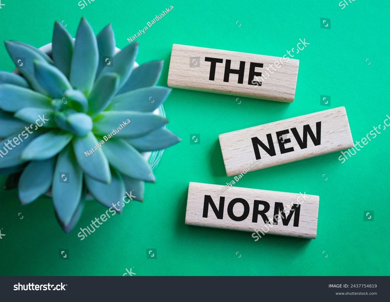 The new norm symbol. Concept words The new norm on wooden blocks. Beautiful green background with succulent plant. Business and The new norm concept. Copy space. #2437754819