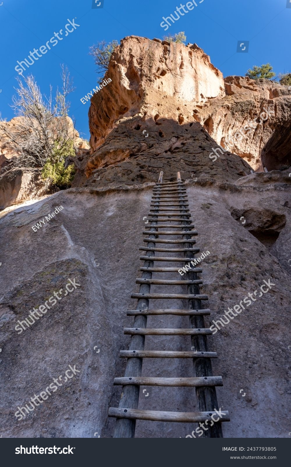 Wood ladder to Alcove House in Bandelier National Monument. Ancestral Puebloan home in New Mexico. Long log ladder up cliff face to reach the lofty home above the Frijoles Canyon. #2437793805
