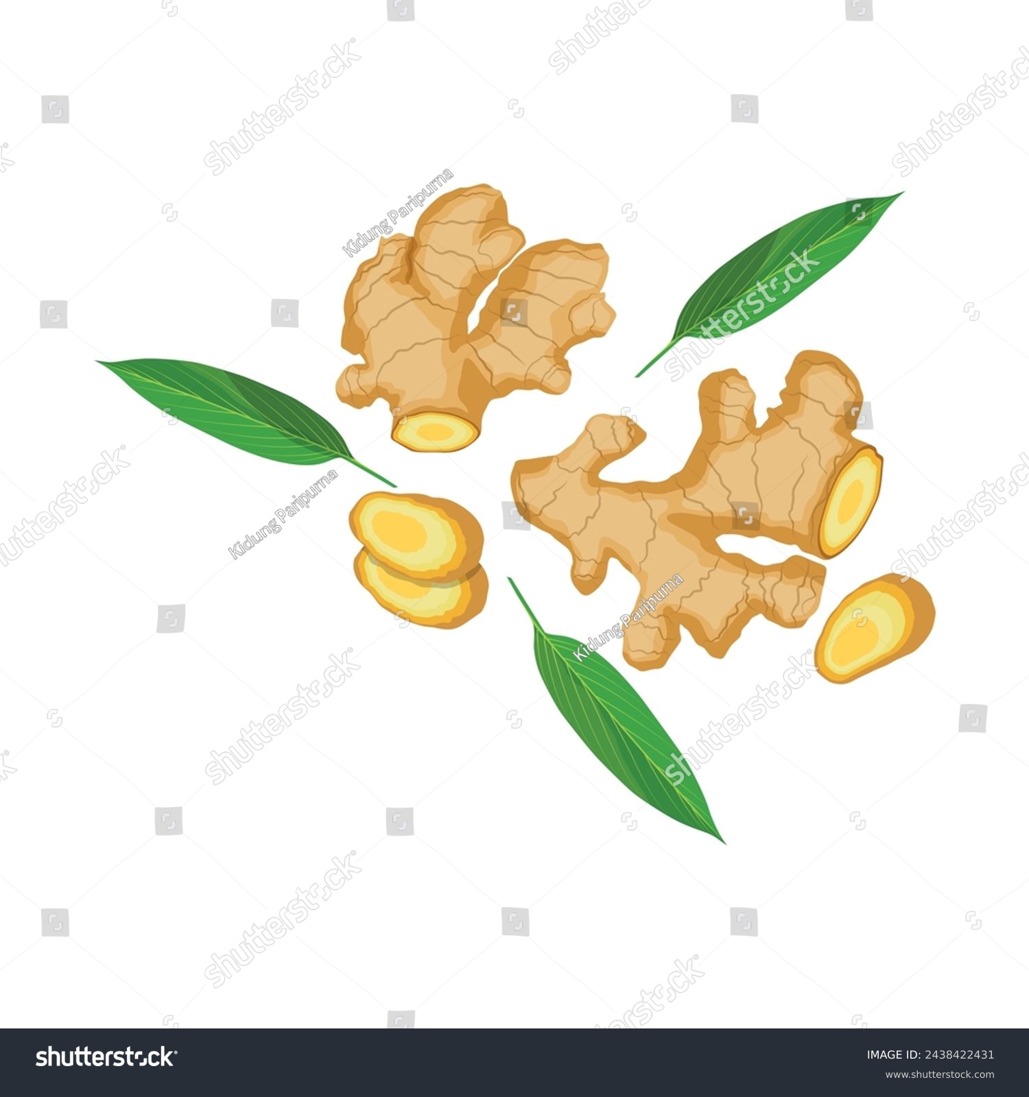 Vector illustration set of ginger root in cartoon flat style. Ginger rootcollection set. Artistic style colorful aromatic. Herbal spice. Detox food ingredient, natural herb plant, whole, sliced #2438422431