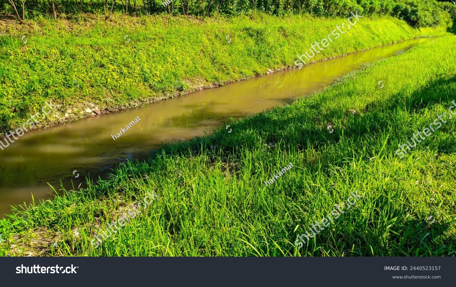 View of unspoiled Indonesian irrigation with green grass all around #2440523157
