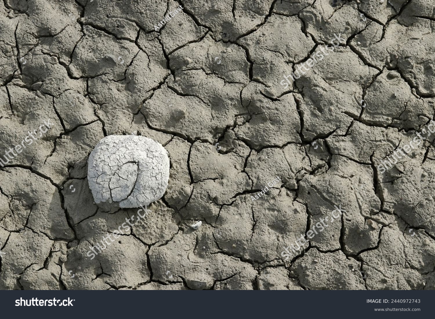 The cracked bottom with stone in a dried-up lake #2440972743