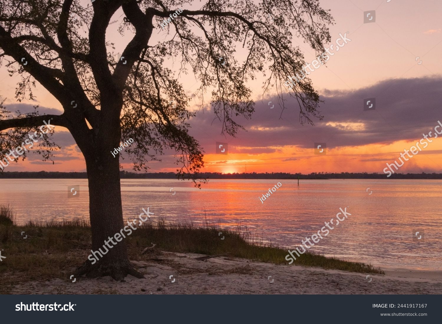 A scenic sunset view of the Cape Fear River from Carolina Beach State Park in North Carolina.  #2441917167
