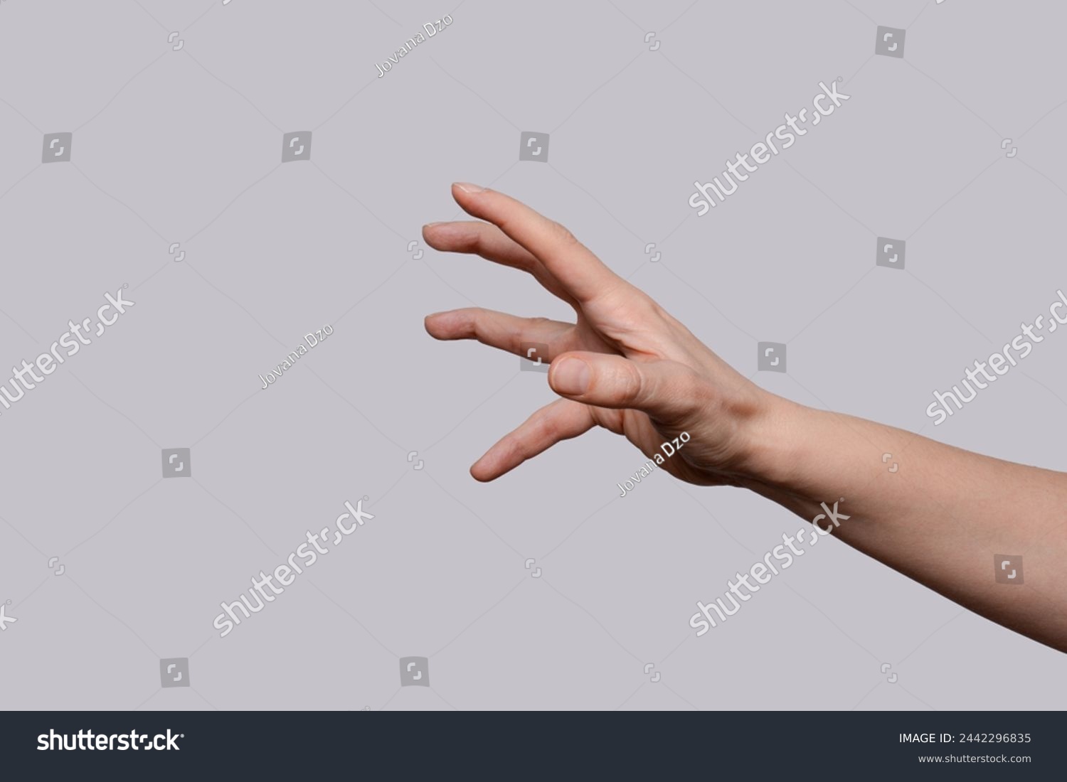 Close up of hand trying to reach for someone or something. Gesture of asking help or sign for lust isolated on light gray background. Right hand. #2442296835