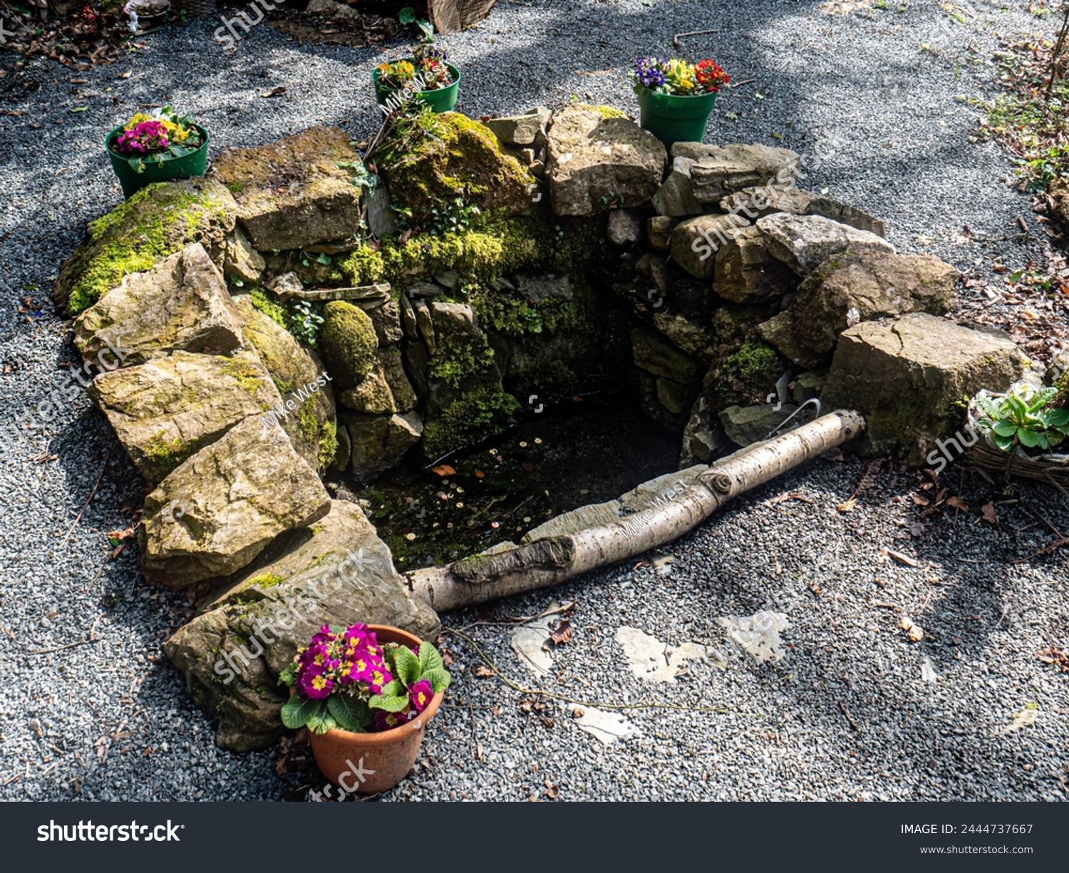 St. Bridget's Holy Well, Artramon, County Wexford, Ireland #2444737667