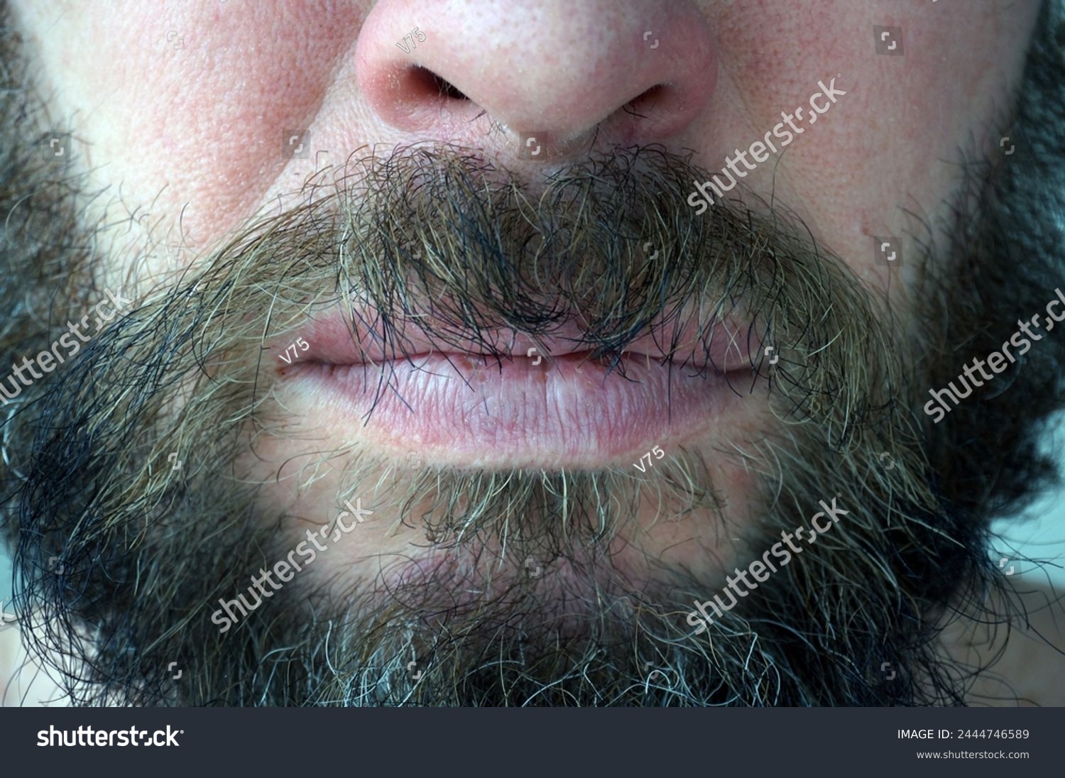 Men's beard. The guy's face is large. Brutal macho. Mustache and beard. Barber. Lumberjack                                #2444746589
