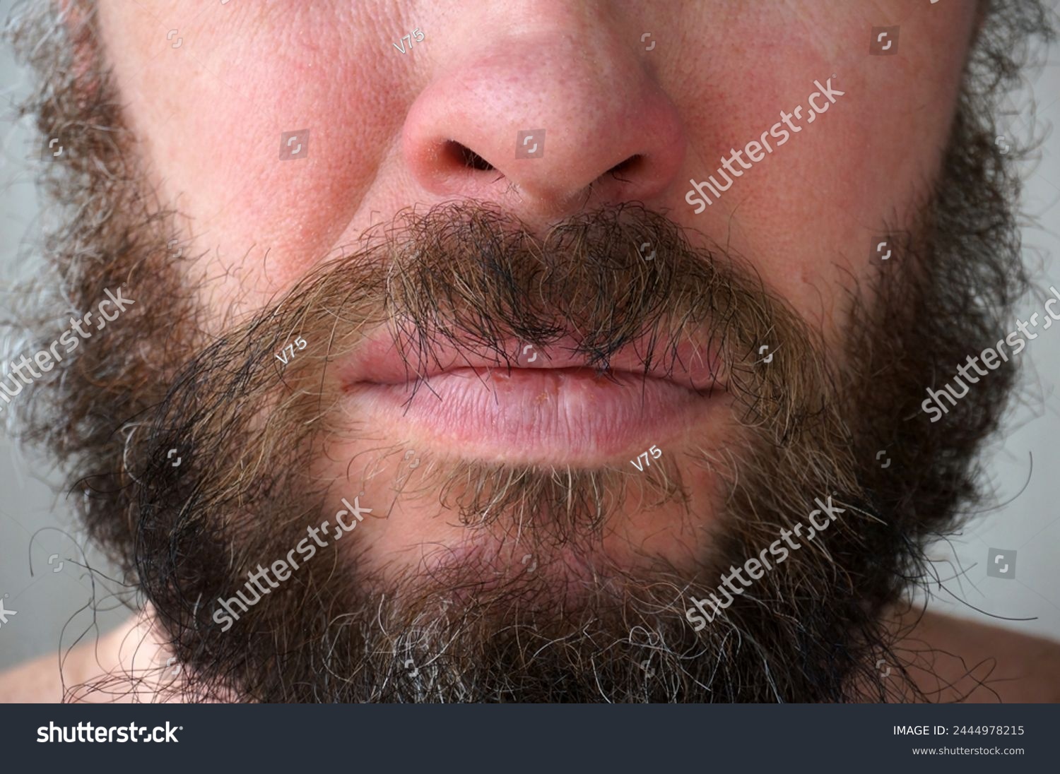 Mustache and beard. Men's makeup. Lips, face close-up. Men's beard. The guy's face is large. Brutal macho. Barber. Lumberjack                             #2444978215
