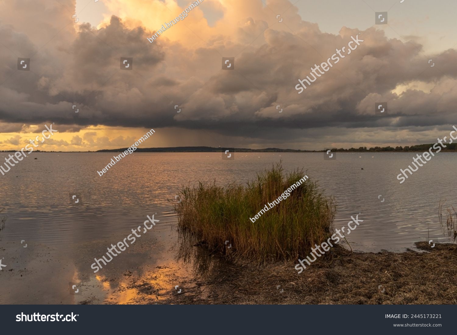 Rainclouds over the Vitter Bodden coast near Seehof, Mecklenburg-Western Pomerania, Germany #2445173221