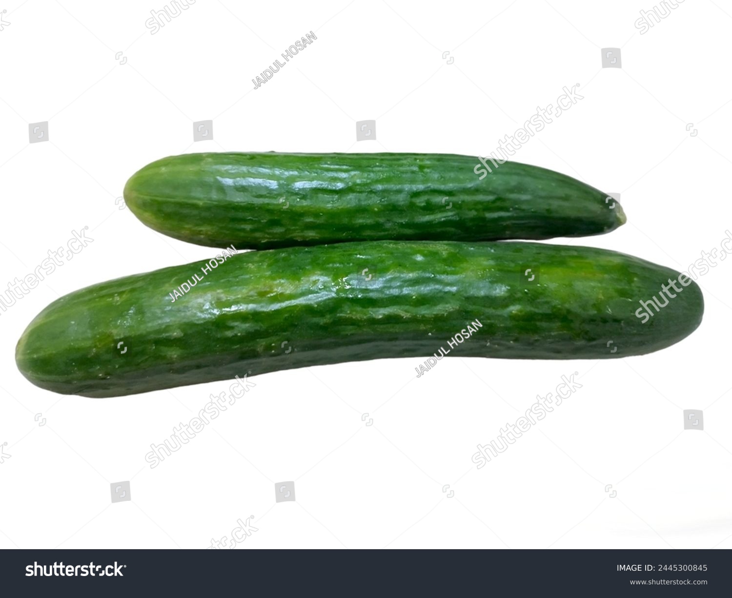 cucumbers (burpless, seedless, hothouse, gourmet, greenhouse or cucumber) isolated on white background. #2445300845