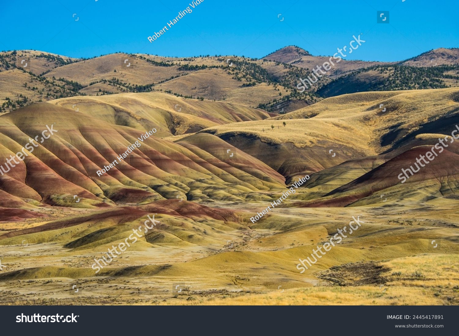 Multicoloured strata in the Painted Hills unit in the John Day Fossil Beds National Monument, Oregon, United States of America, North America #2445417891