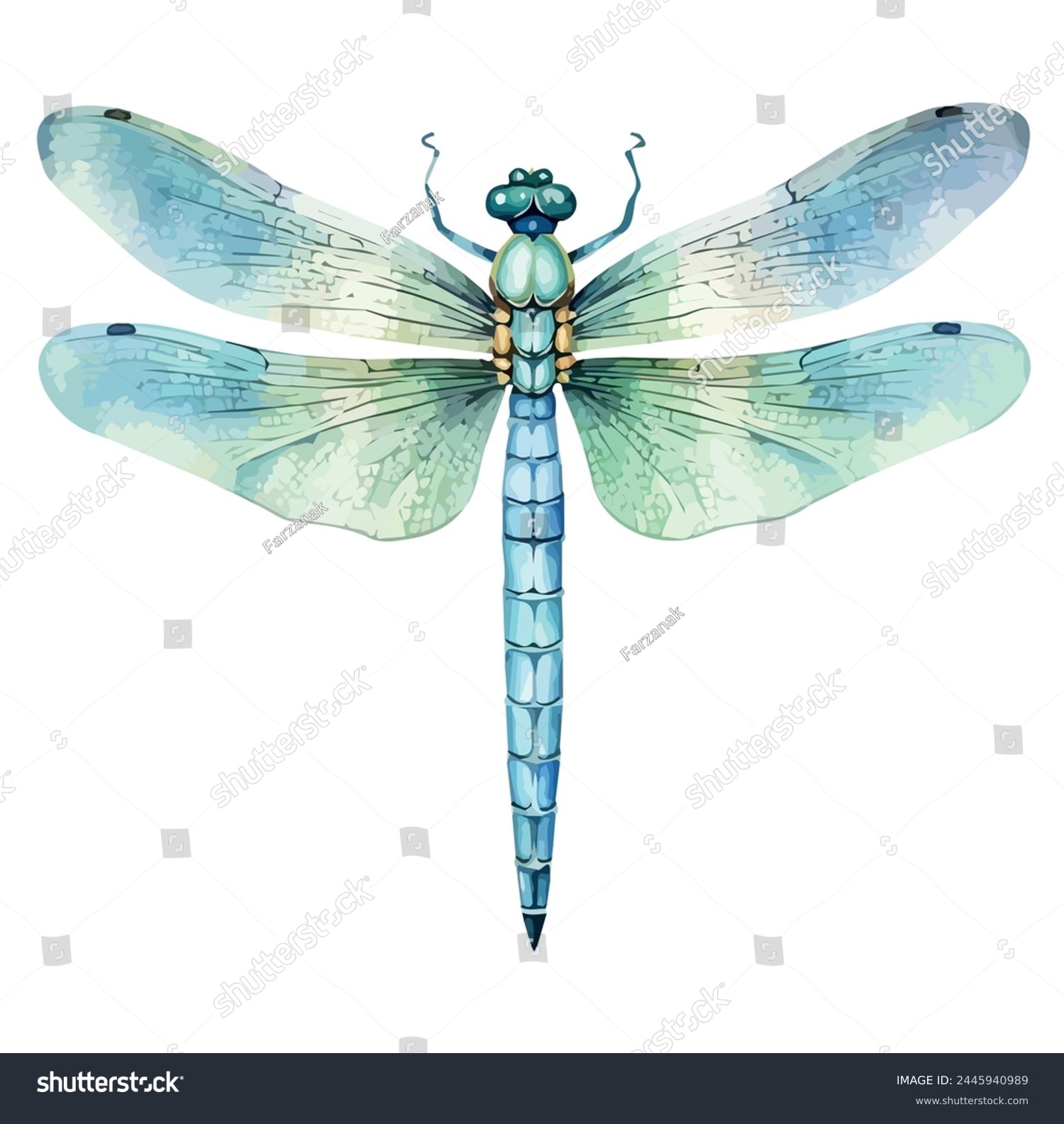 Watercolor Painting vector of a dragonfly, isolated on a white background, drawing clipart, Illustration Vector Graphic, design logo. #2445940989