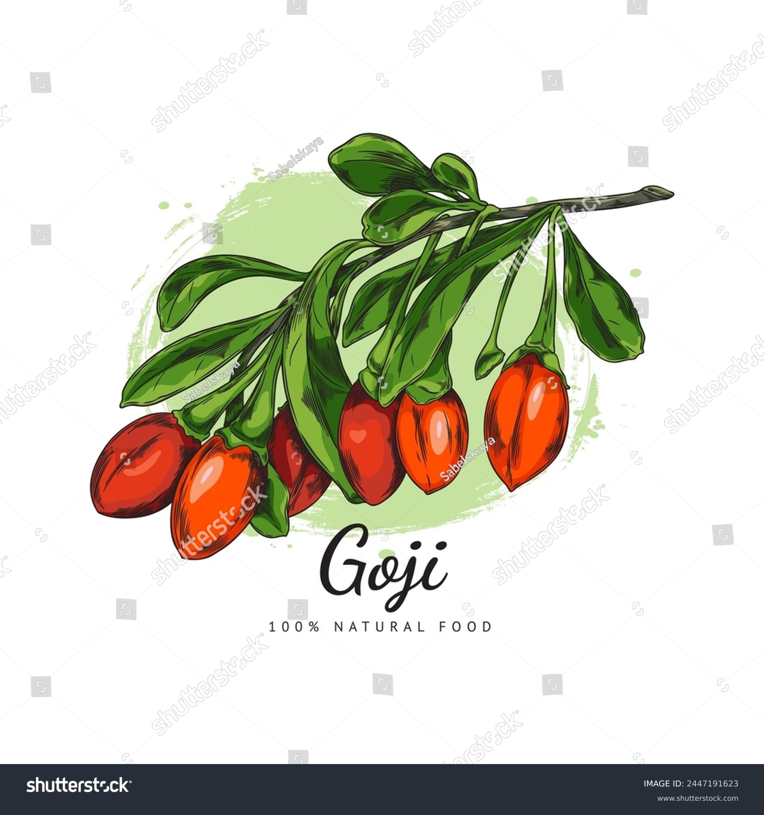 Fresh branch of goji berries with leaves hand drawn vector illustration. Natural ripe red berries sketch. Organic healthy superfood fruit plant on watercolor stain. Chinese wolfberry, lycium barbarum #2447191623