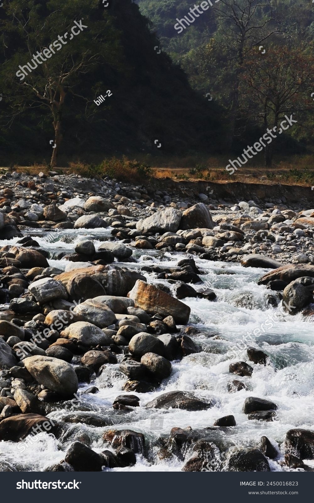 terai-dooars region of west bengal at dudhia. beautiful mountain stream (balason river) flowing through the valley, himalaya foothills area in india #2450016823