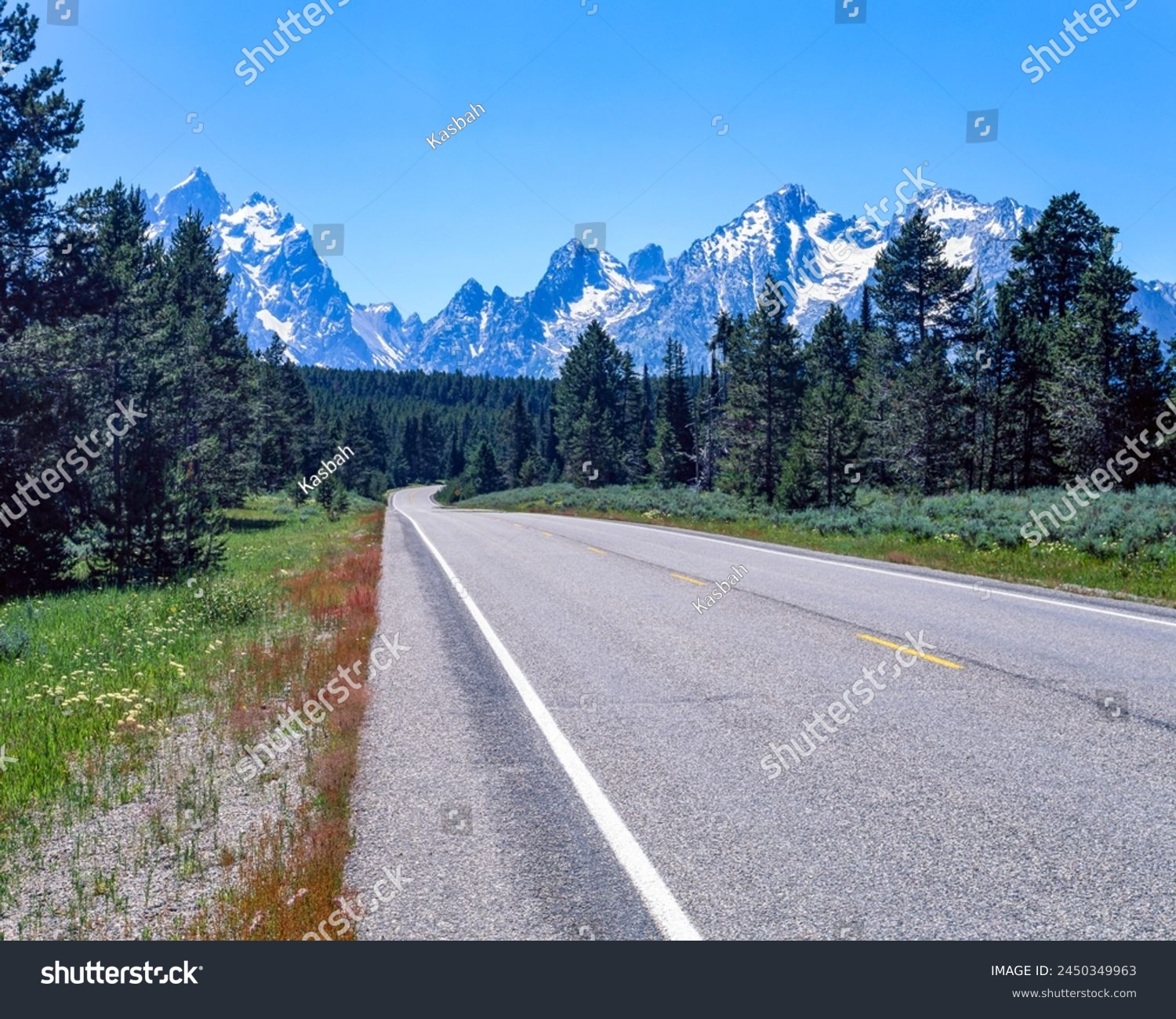 Teton Park Road and Teton Range, Grand Teton National Park : Teton County, WY, USA #2450349963