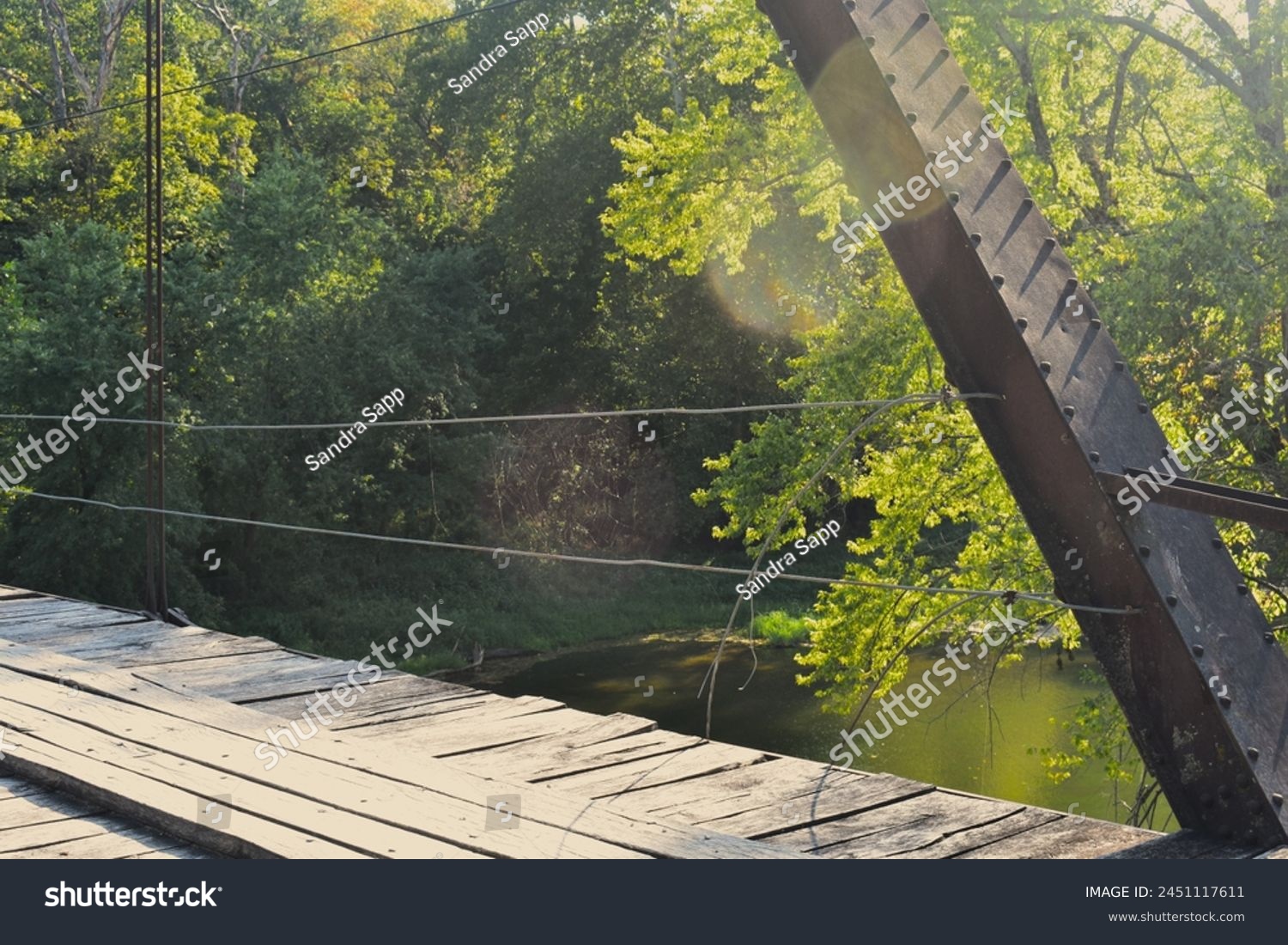 William's Bend Bridge, aka Rough Holler Bridge, is a historic steel truss bridge with wooden flooring, spanning the Pomme de Terre river near Hermitage, MO, United States, US. It was built in 1890. #2451117611