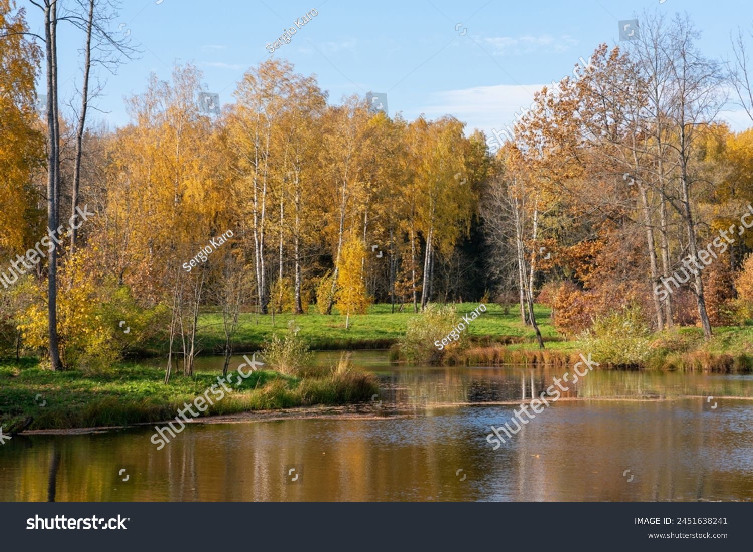 Beautiful autumn landscape with a lake in a golden-brown forest and a bright green meadow, and coastal grass near by the lakeshore, under a blue sky. Reflection of the blue sky in the water. #2451638241