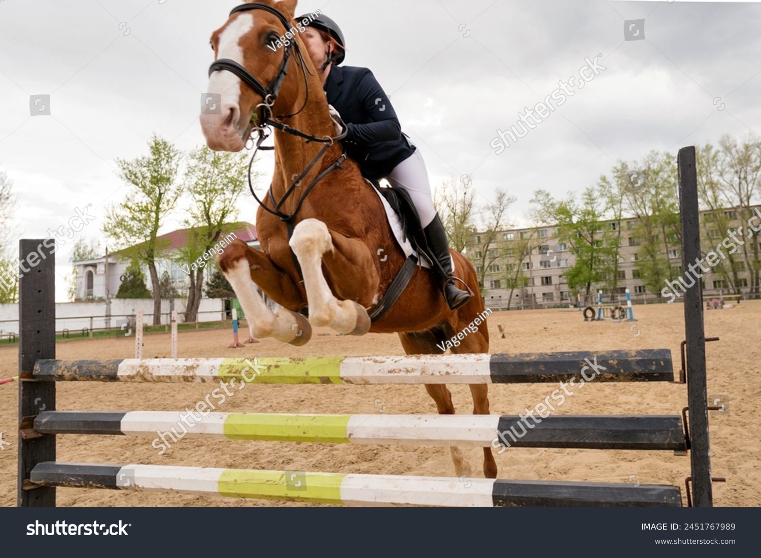 Equestrian event, rider and horse mid-obstacle course. Female jockey in uniform. Show jumping. Horseback riding school #2451767989