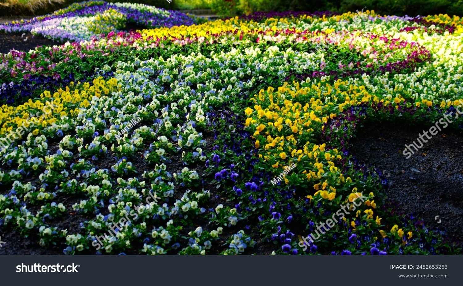 colourful carpet of flowers. multicolour version #2452653263