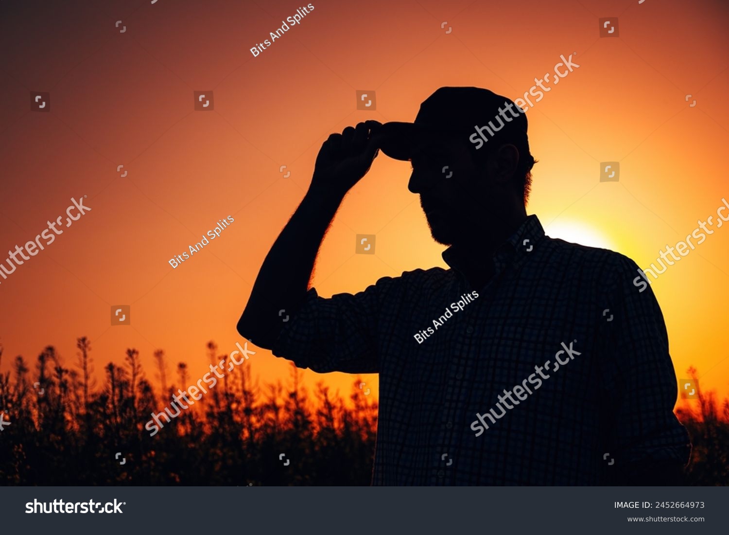 Back lit silhouette of male farmer with trucker's hat standing in blooming canola rapeseed field in sunset, selective focus #2452664973