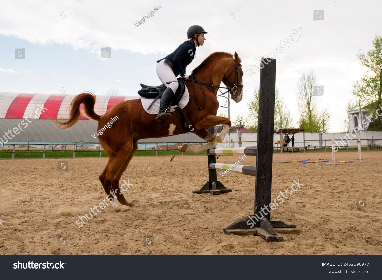 Equestrian and horse mid-jump, show jumping action. Practice session. Female jockey in uniform. Equestrian sport. Horseback riding school #2452890977