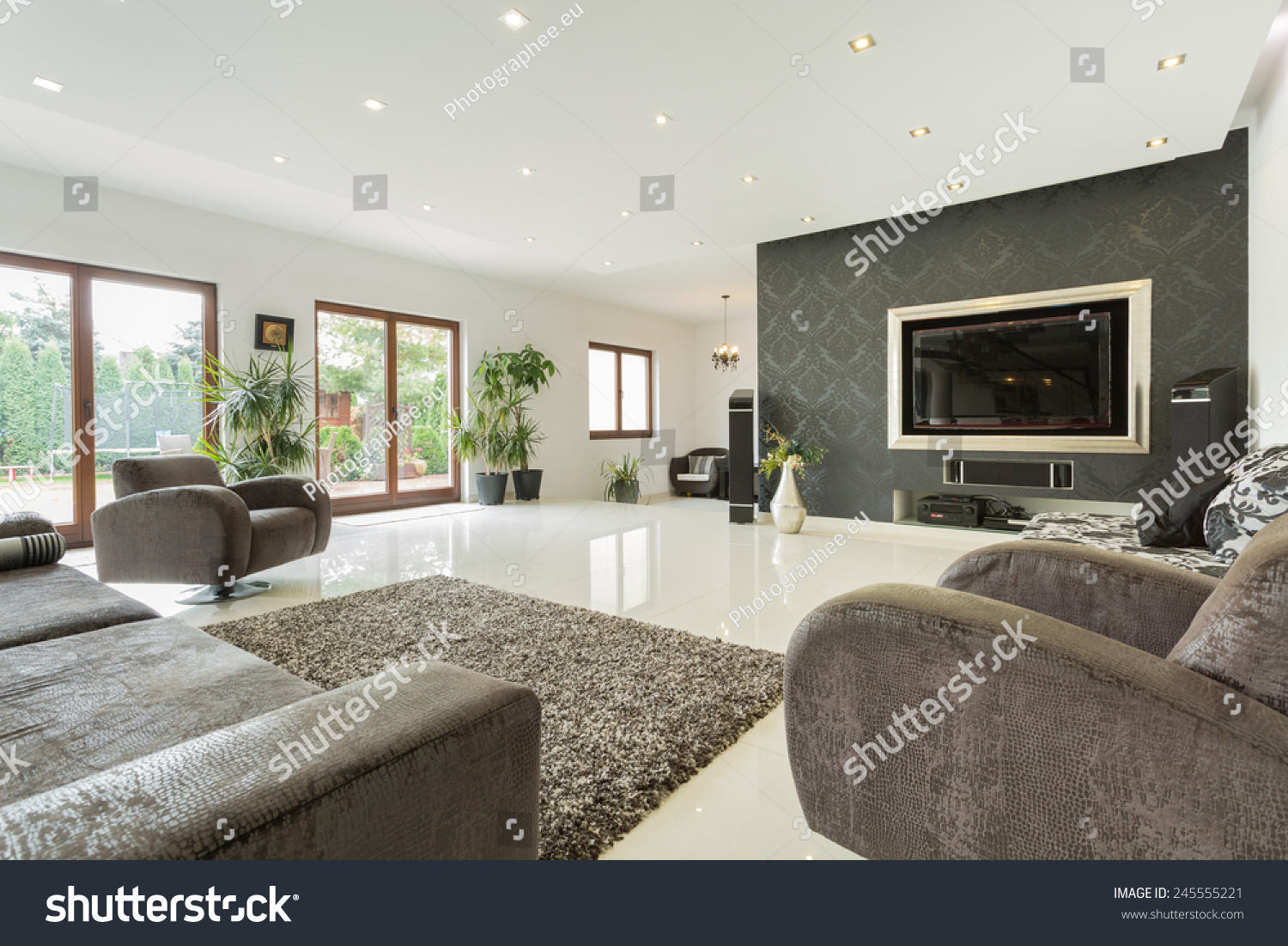 Enormous living room in expensive house, horizontal #245555221