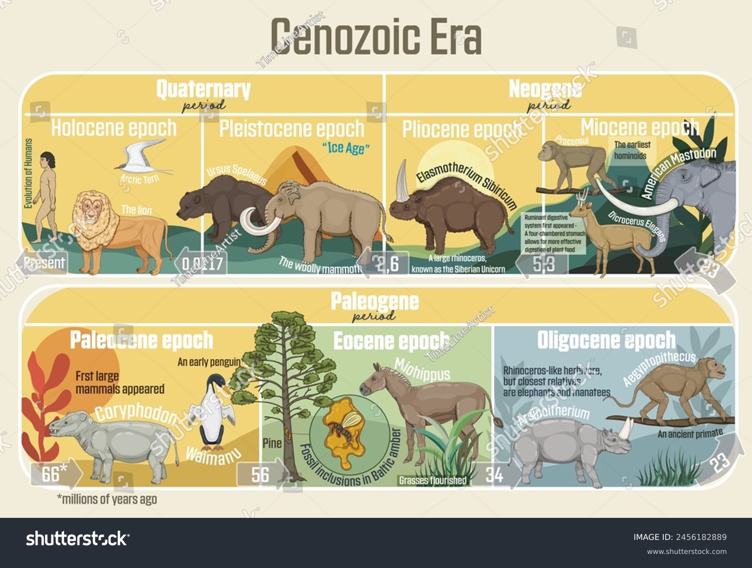 Cenozoic Era: Geological Timeline Spanning From - Royalty Free Stock ...