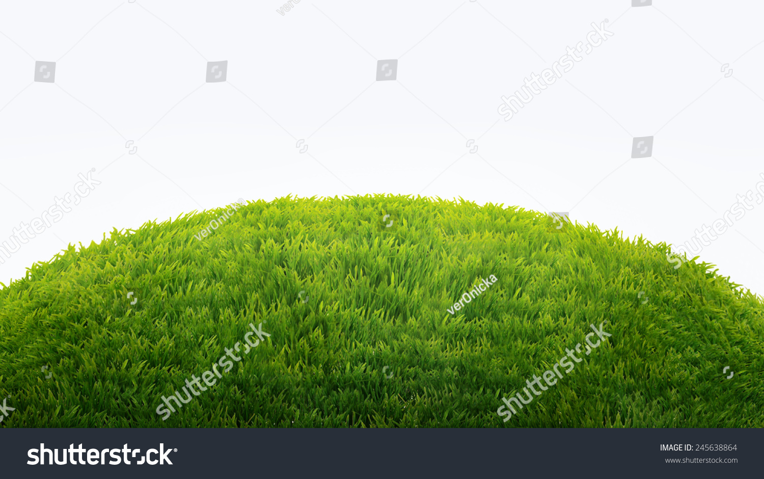 green field of fresh grass isolated on white. natural easter background #245638864