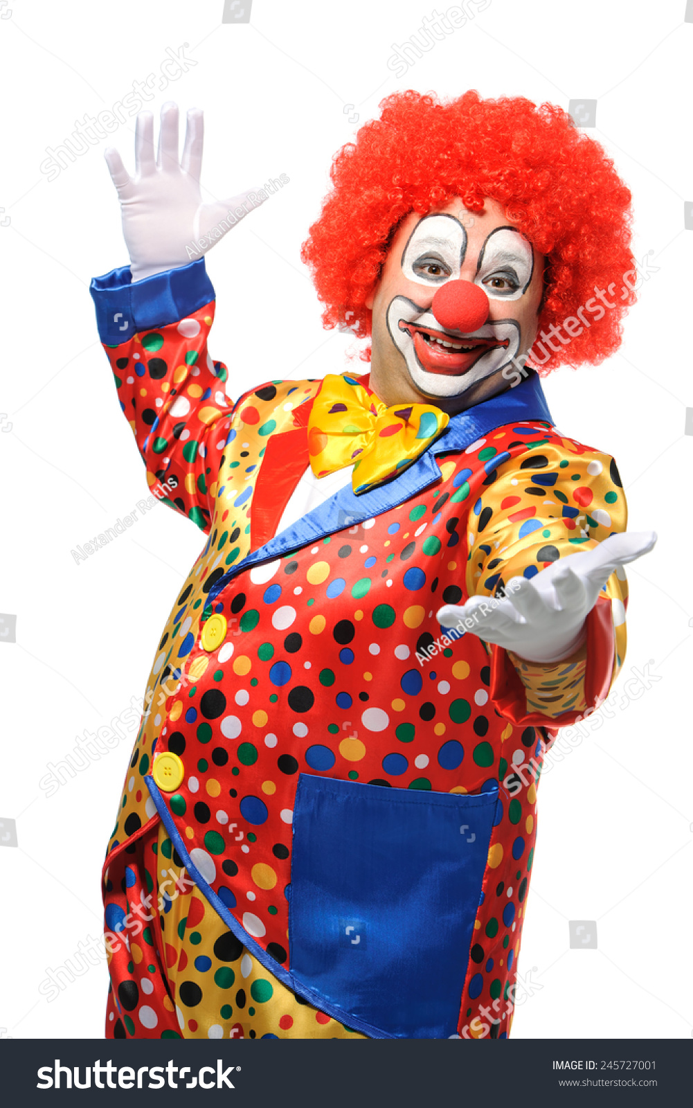Portrait of a smiling clown isolated on white #245727001