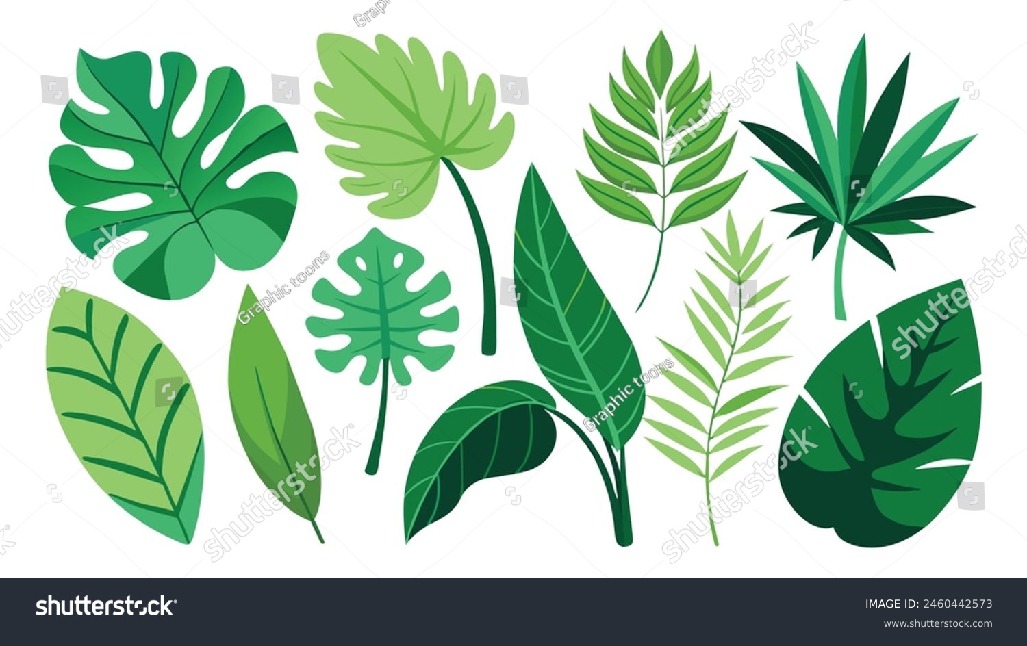 Tropical leaves. Cartoon jungle exotic palm - Royalty Free Stock Vector ...