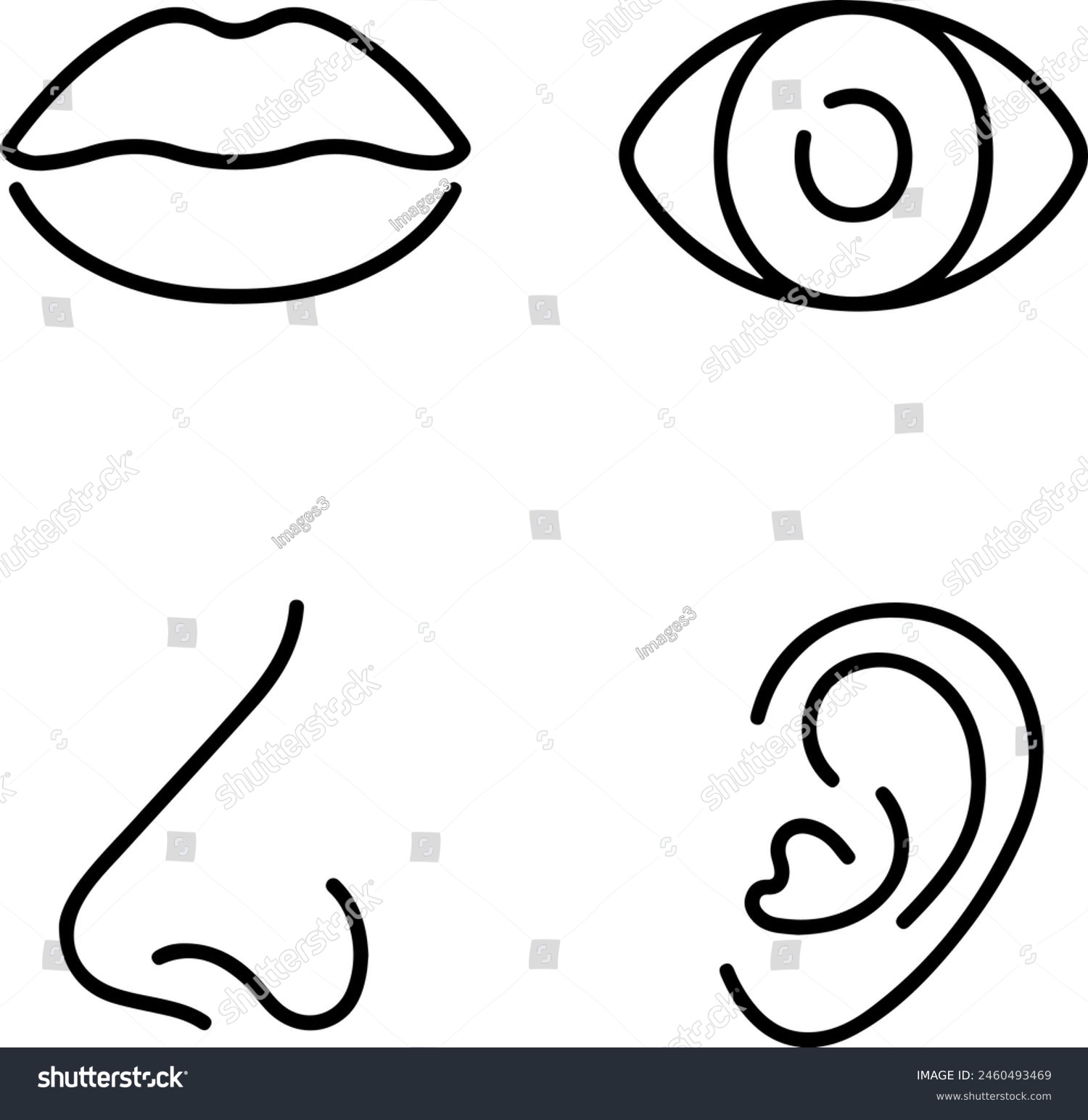 Icon Set Of Human Senses Sight Sound Smell Royalty Free Stock Vector 2460493469