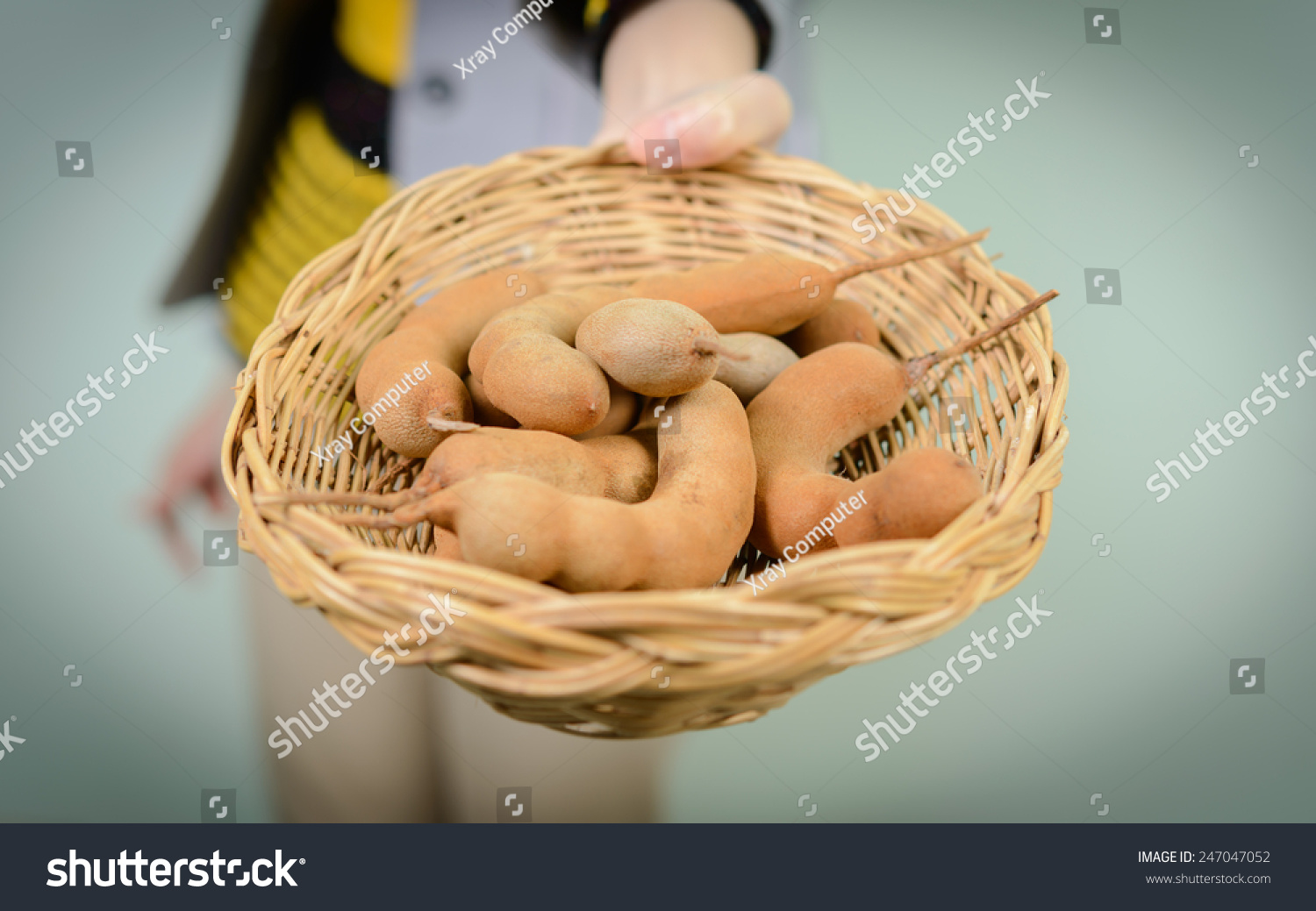 woman hold Tamarinds in wicker basket #247047052