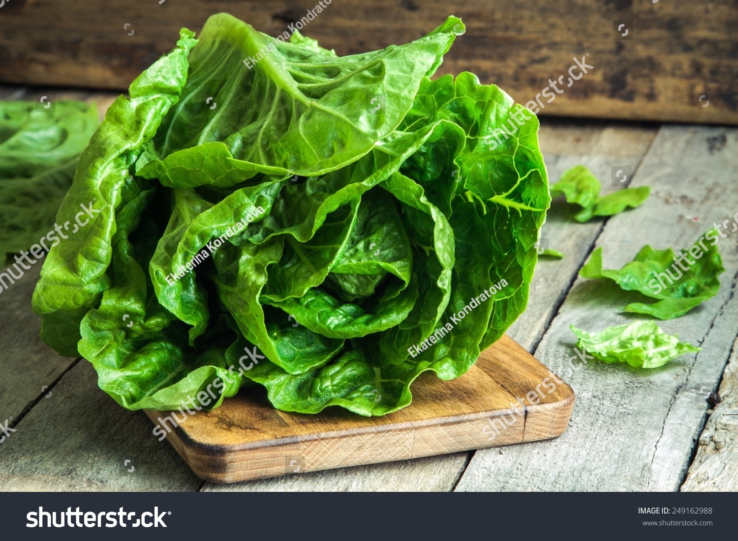 ripe organic green salad Romano on a cutting board #249162988