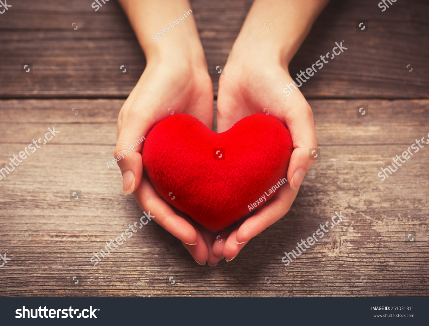 Female hands giving red heart #251031811