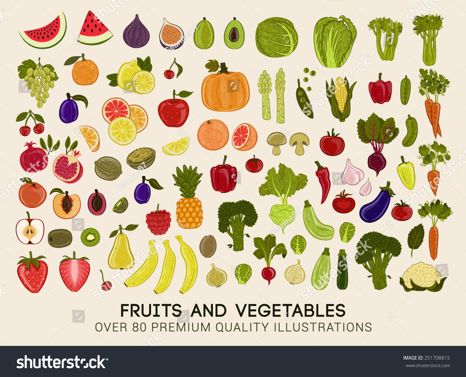 Mega collection of premium quality vector illustrations of fruits and vegetables #251708815