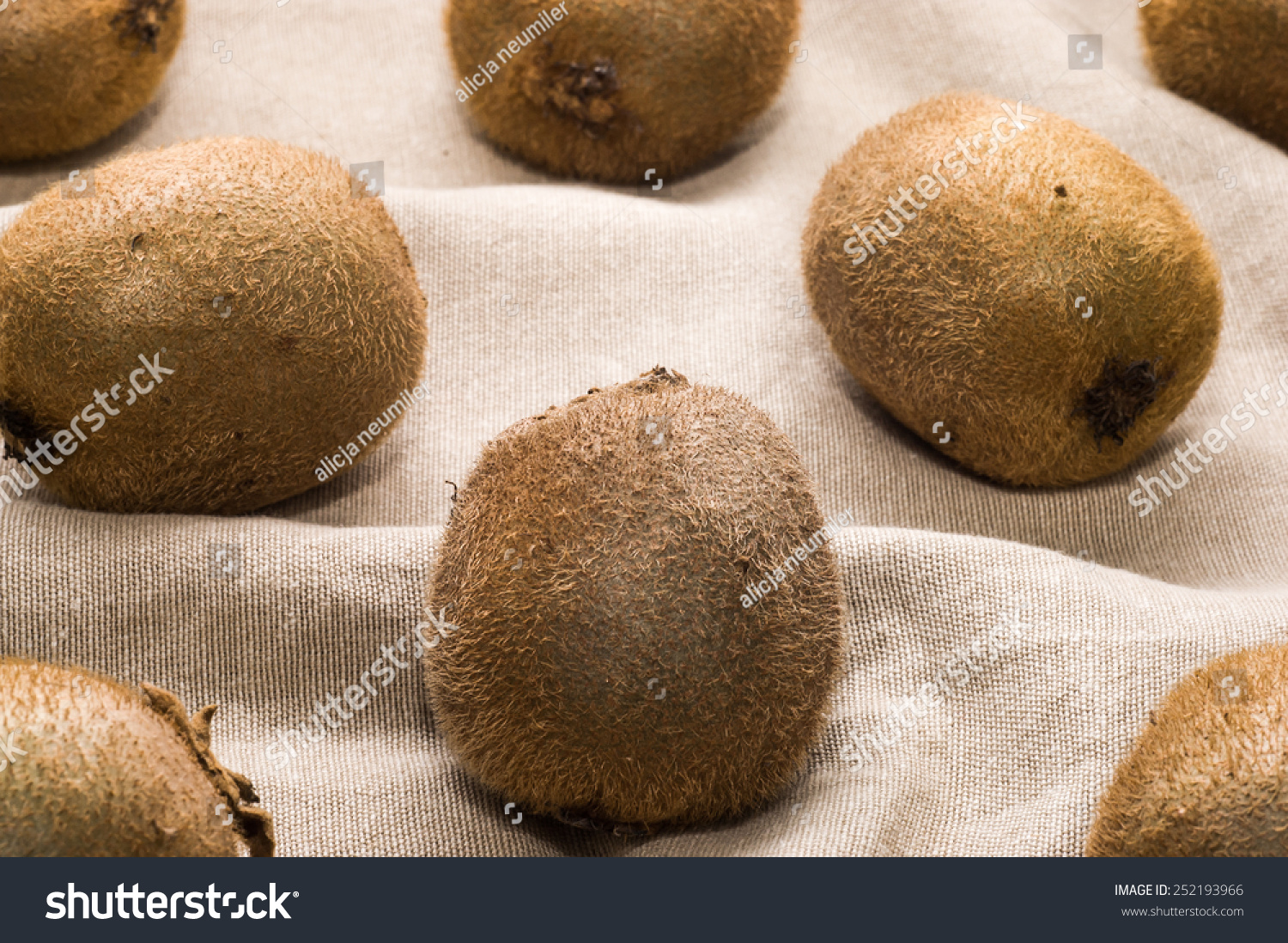Several pieces of kiwi on canvas useful as background #252193966