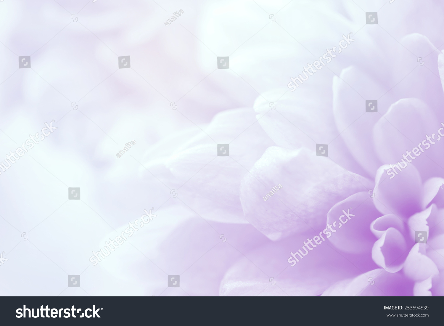 flower on soft pastel color in blur style #253694539