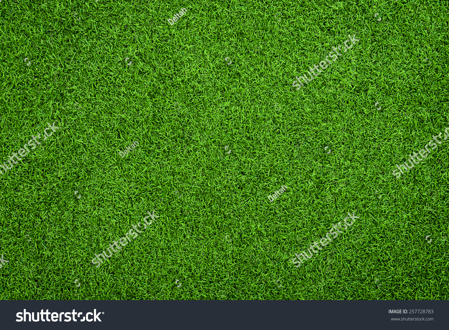 Top view of Artificial Grass #257728783