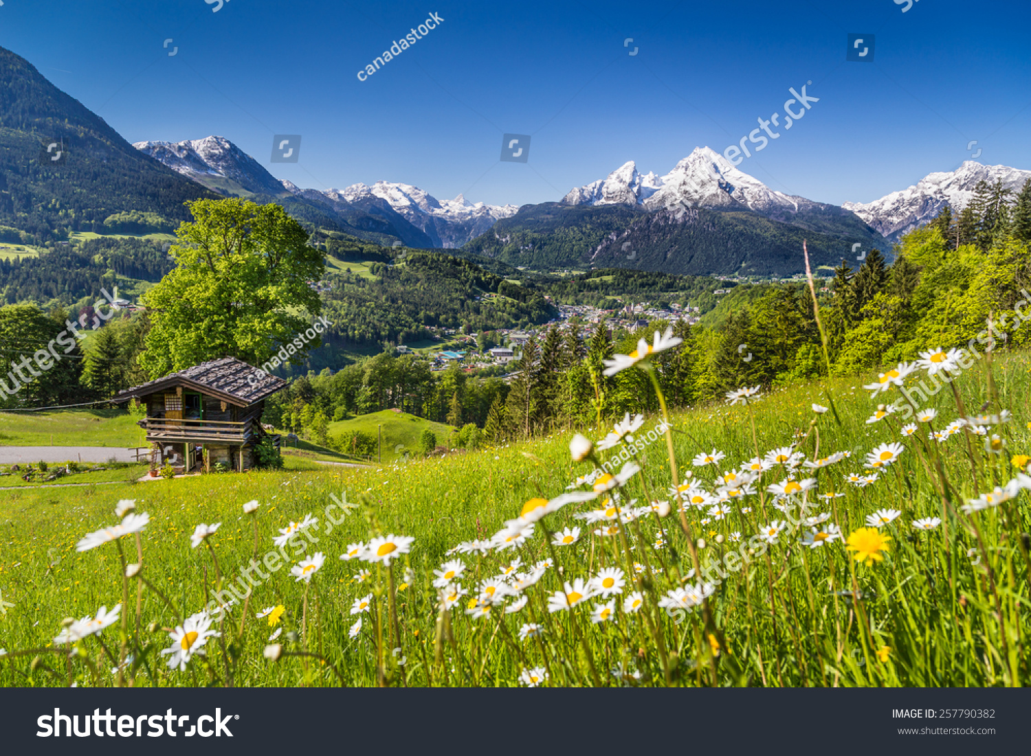 Beautiful mountain landscape in the Bavarian Alps with village of Berchtesgaden and Watzmann massif in the background at sunrise, Nationalpark Berchtesgadener Land, Bavaria, Germany #257790382