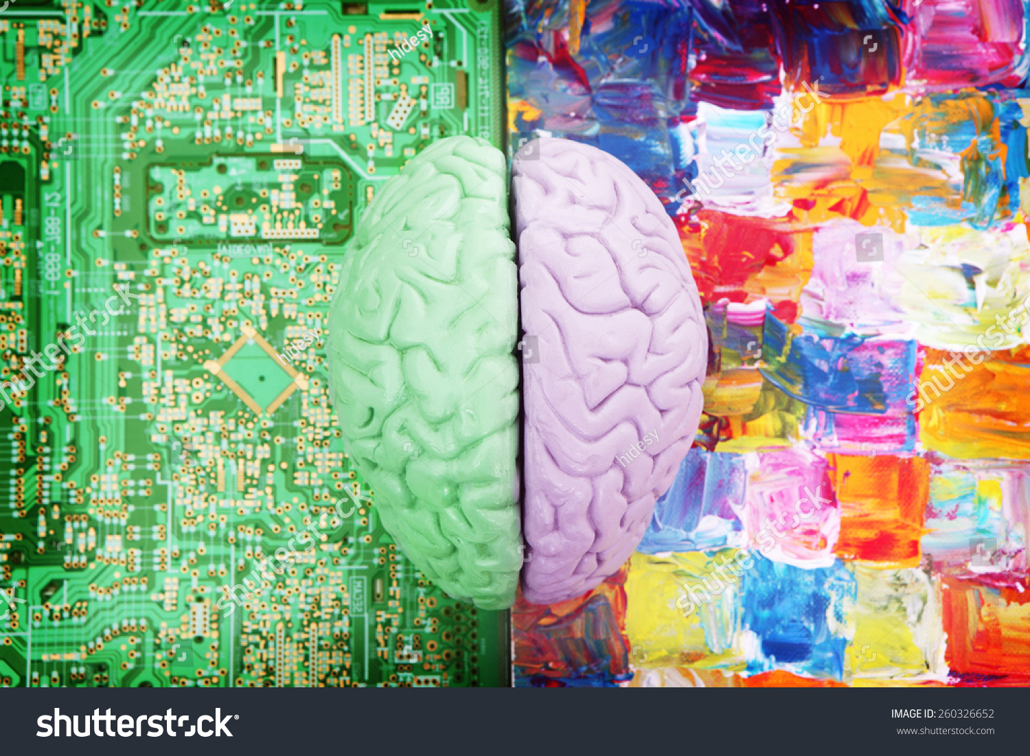 Halves of the Brain Creative vs Analytical #260326652
