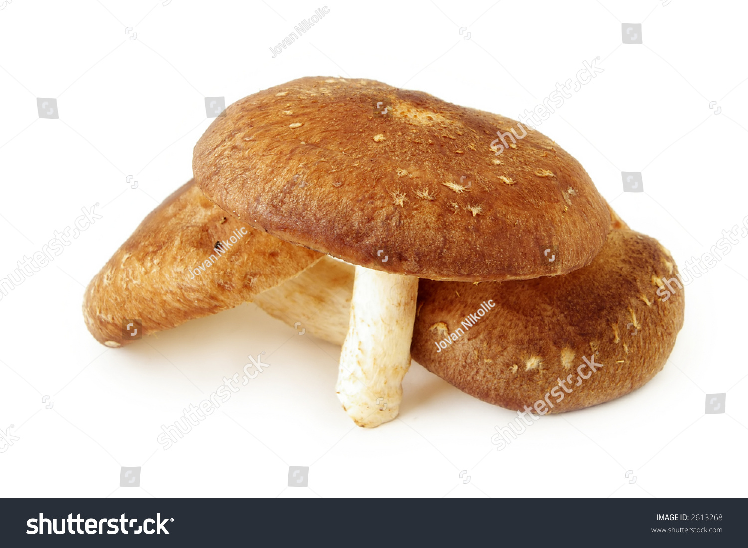 Shiitake Mushrooms #2613268