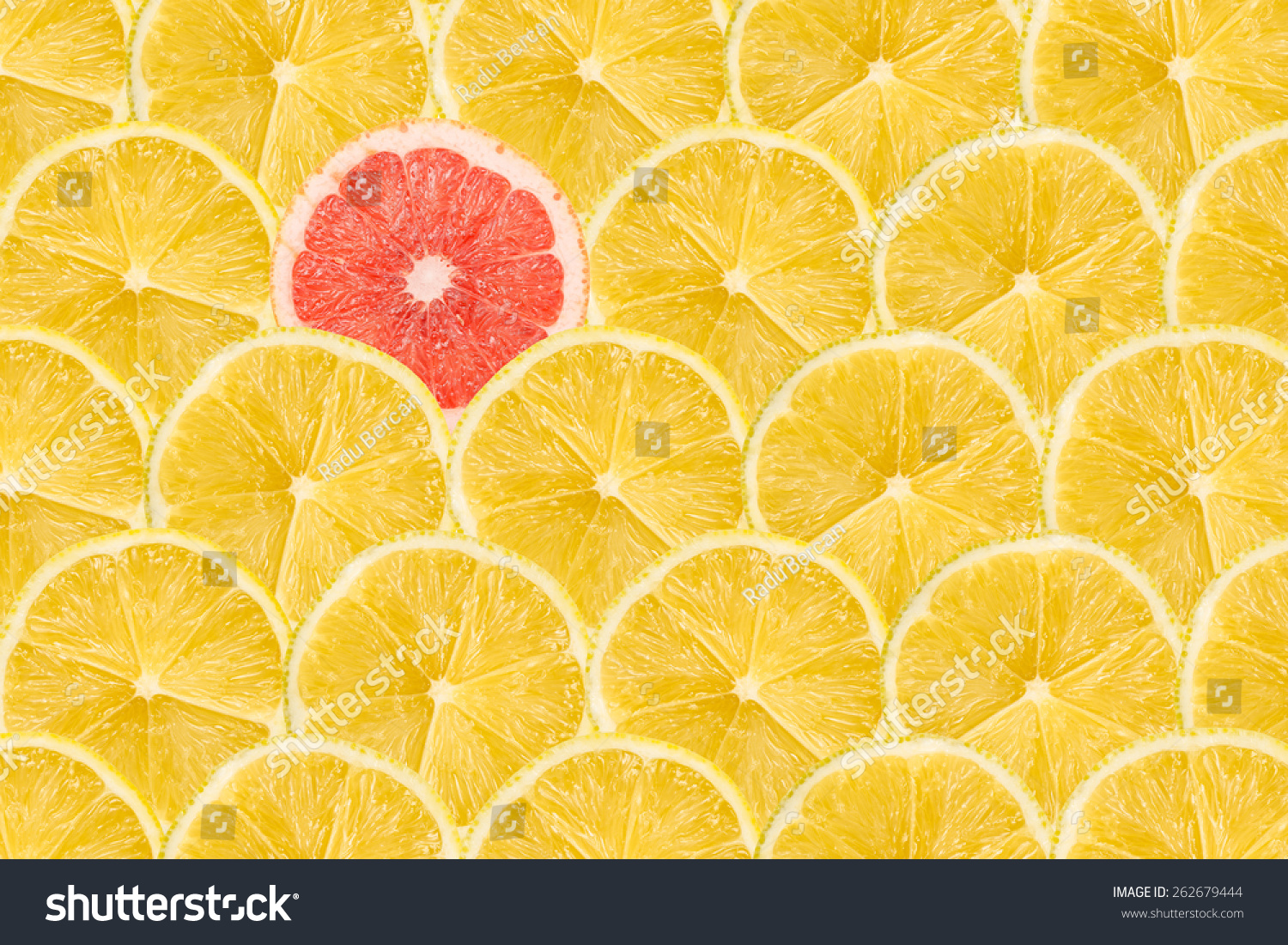 One Pink Grapefruit Slice Stand Out Of Yellow Lemon Slices #262679444