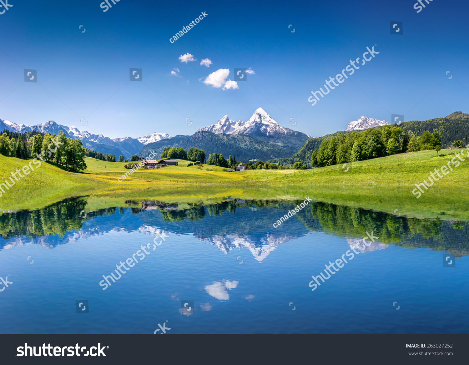 Panoramic view of idyllic summer landscape in the Alps with clear mountain lake and fresh green mountain pastures in the background #263027252