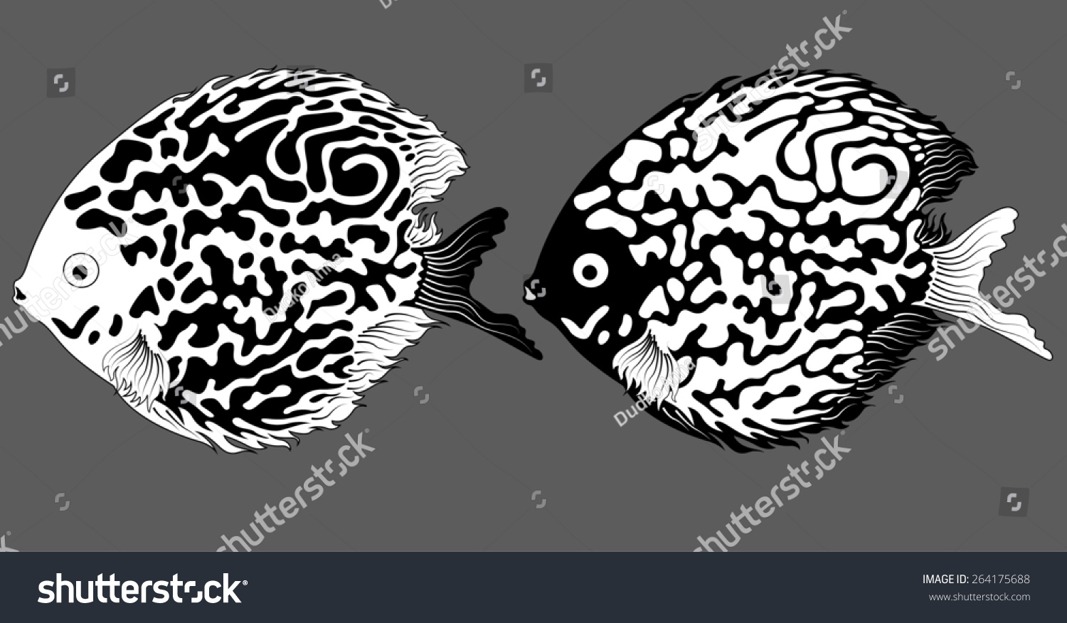 Unduh 420 Background Aquarium Untuk Ikan Discus Gratis