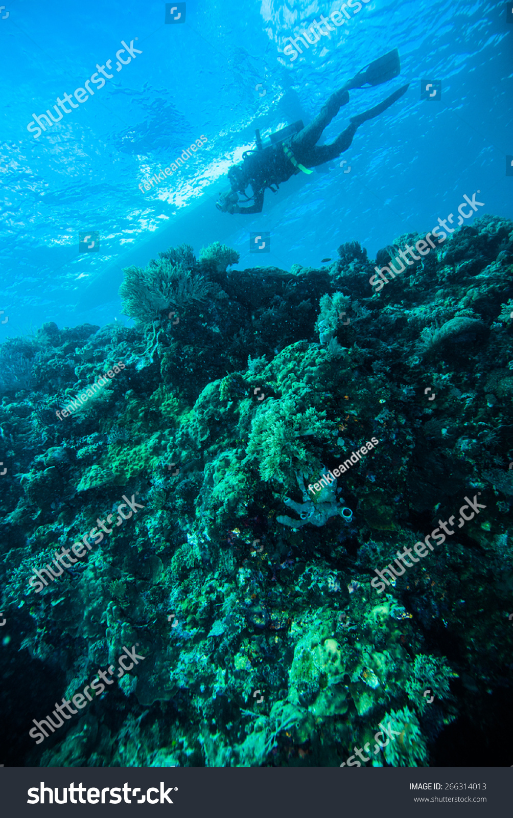 deep blue sea scuba diving diver kapoposang indonesia #266314013