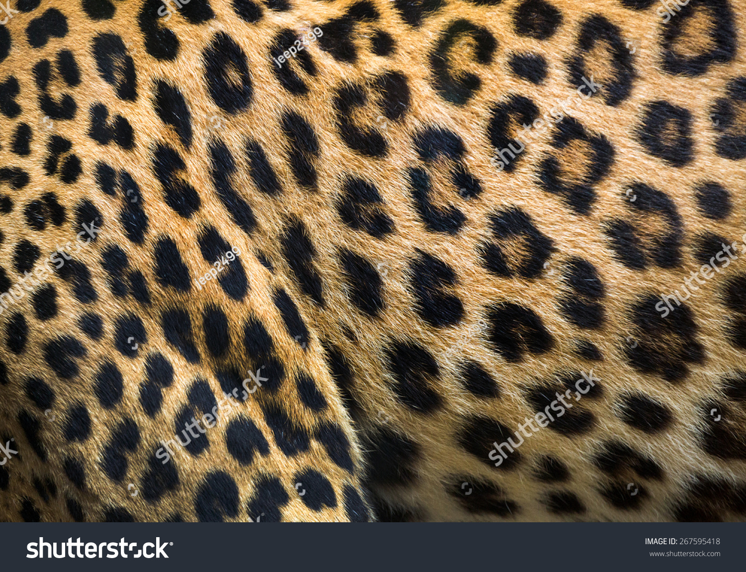 leopard and ocelot skin texture. #267595418