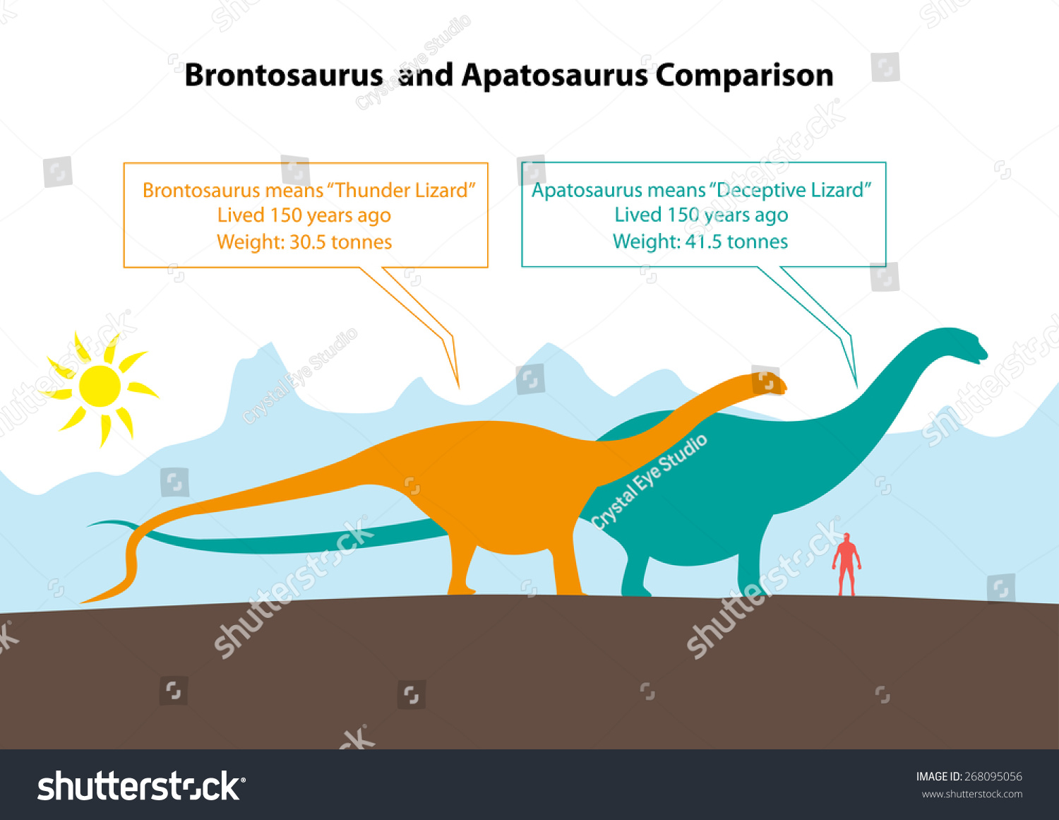 Difference Between Two Separate Species Royalty Free Stock Vector 268095056