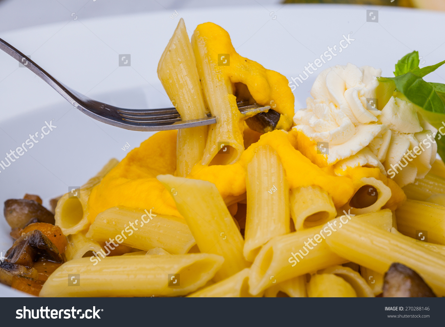 Penne pasta with pumpkin, tofu and mushrooms #270288146