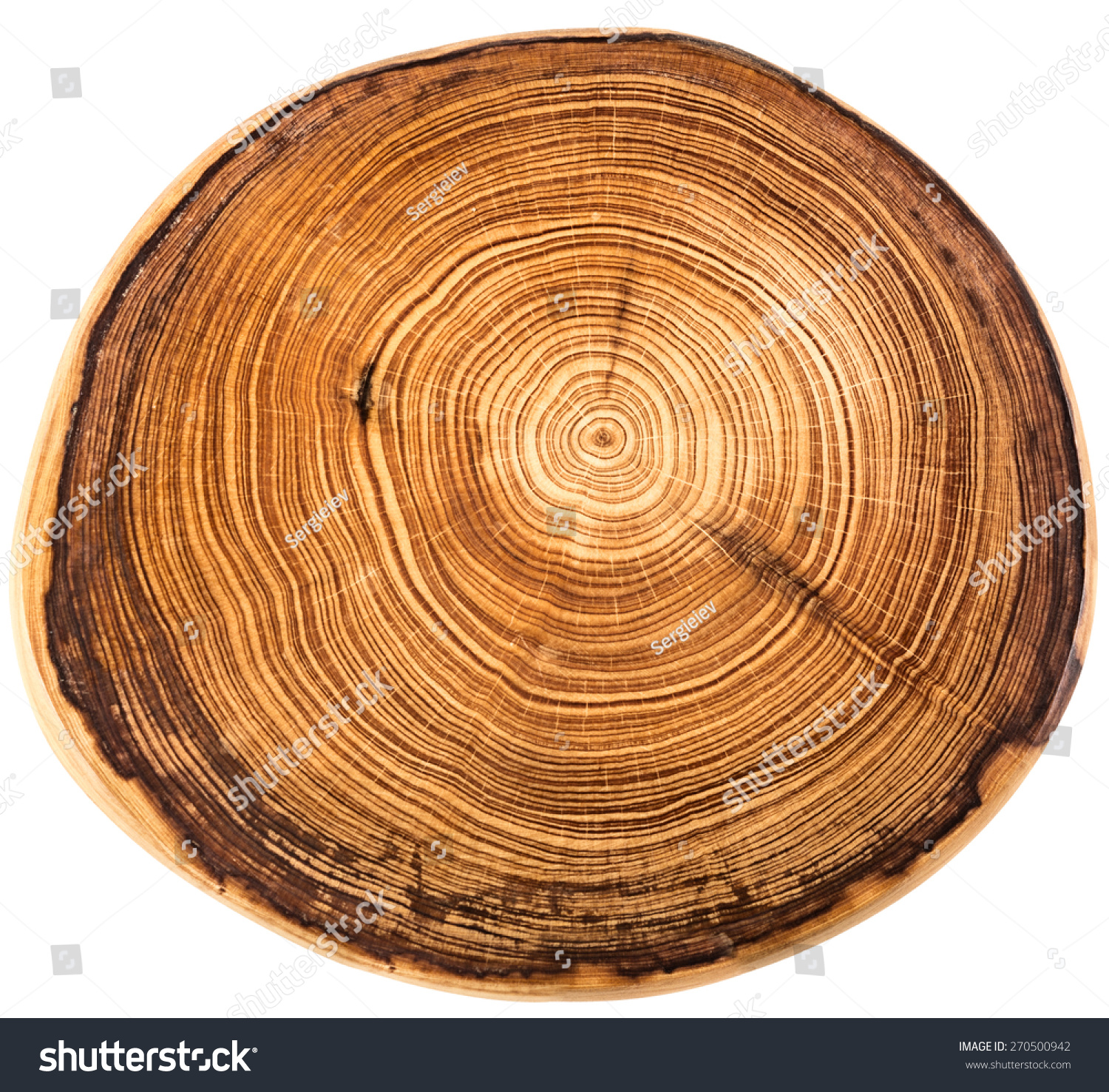 Wood circle texture slice background #270500942